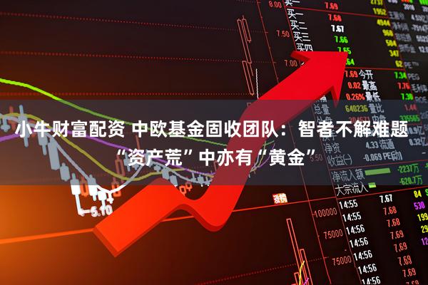 小牛财富配资 中欧基金固收团队：智者不解难题 “资产荒”中亦有“黄金”