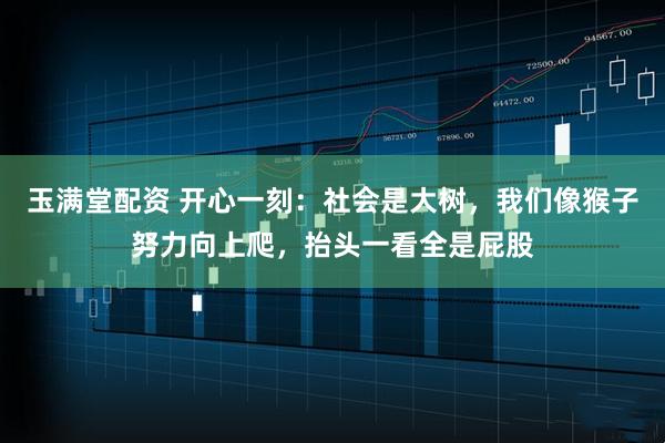 玉满堂配资 开心一刻：社会是大树，我们像猴子努力向上爬，抬头一看全是屁股