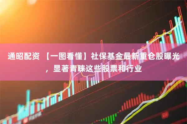通昭配资 【一图看懂】社保基金最新重仓股曝光，显著青睐这些股票和行业